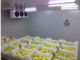 Cold Chain System