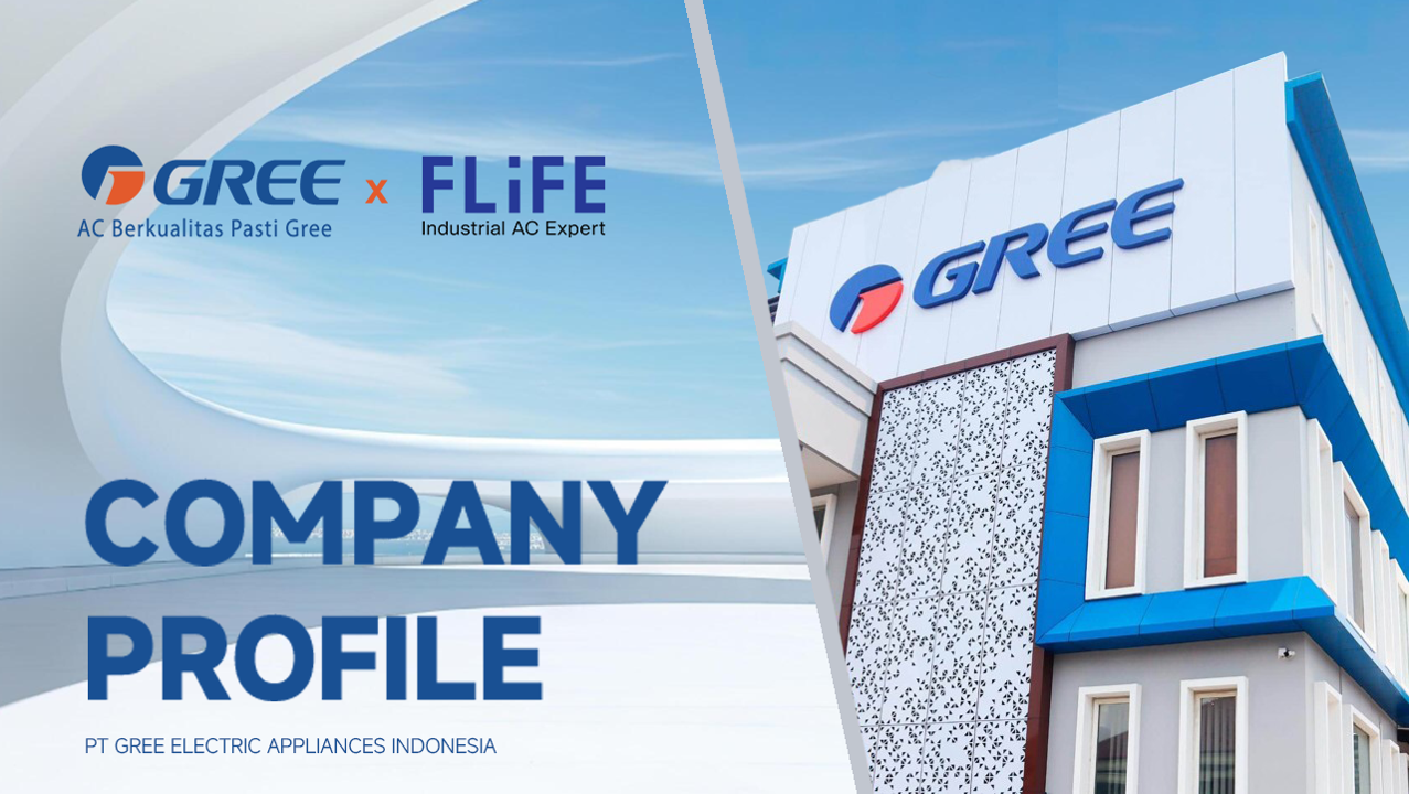 FLIFE Company Introduction